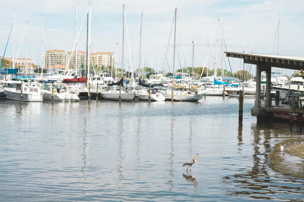 Boats docked at a marina