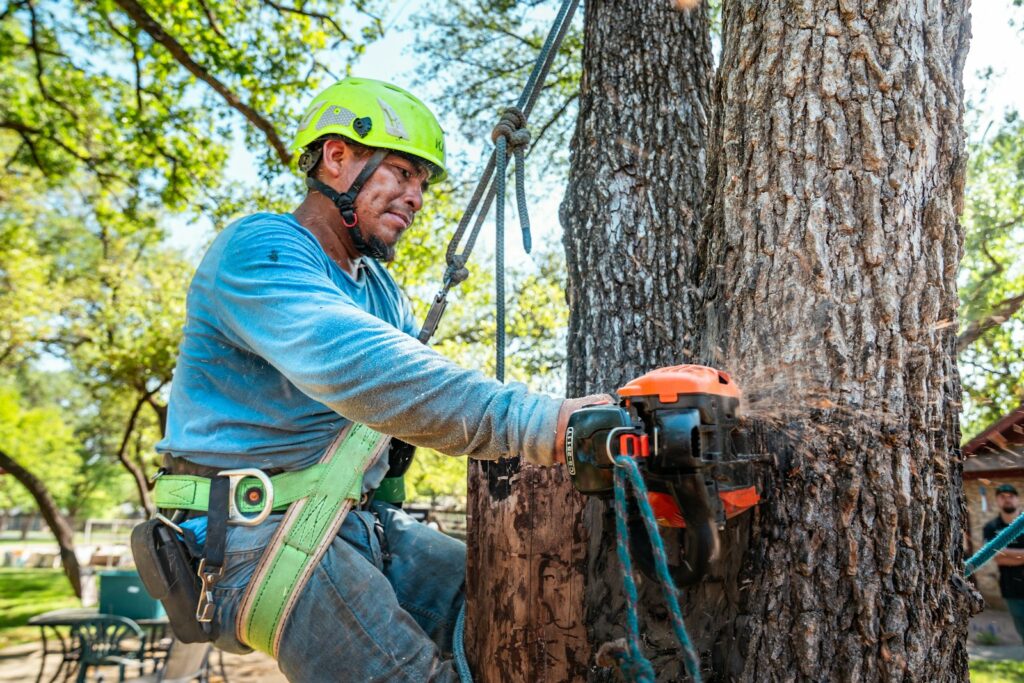 Tree service worker in a helmet cutting a tree trunk with a chainsaw